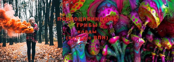 твердый Армянск