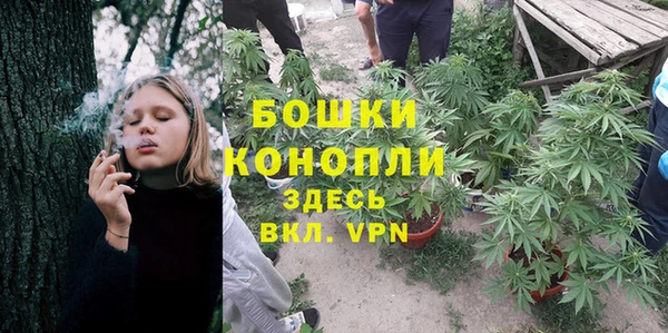 MESCALINE Аркадак