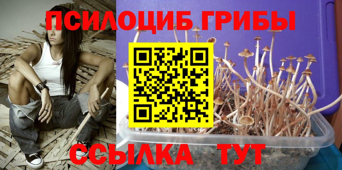 Псилоцибиновые грибы MAGIC MUSHROOMS Фролово