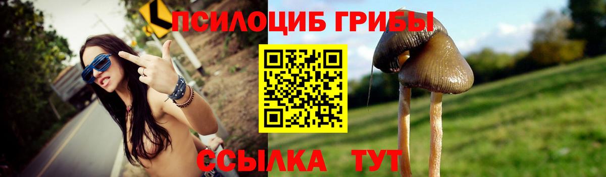 Псилоцибиновые грибы мухоморы  Галлюциногенные грибы Magic Shrooms  Вход с VPN  Фролово 